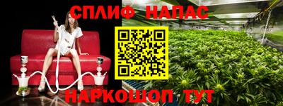 крисы Партизанск