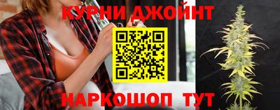 крисы Партизанск