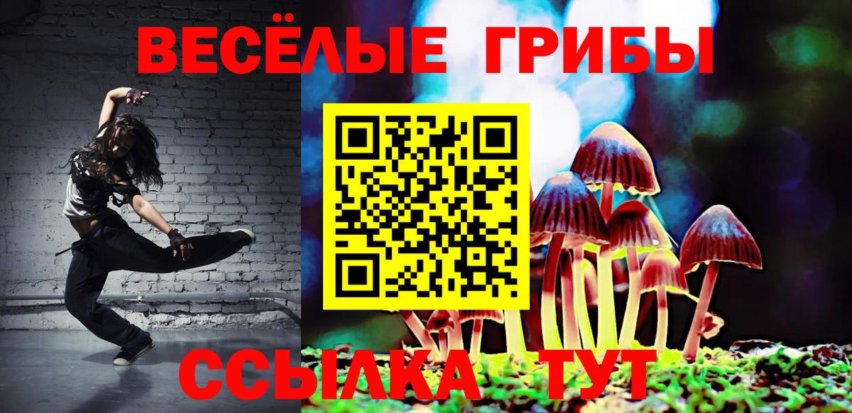 Нальчик  Галлюциногенные грибы GOLDEN TEACHER  Вход с VPN 